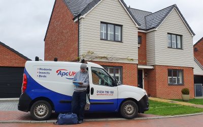 Who is the Best Pest Control Company In Bedford, Bedfordshire?