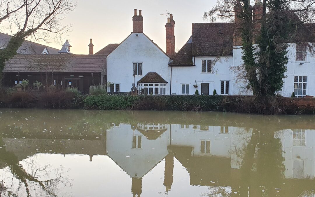 PestWatch January: Pest Warnings Follow Flooding