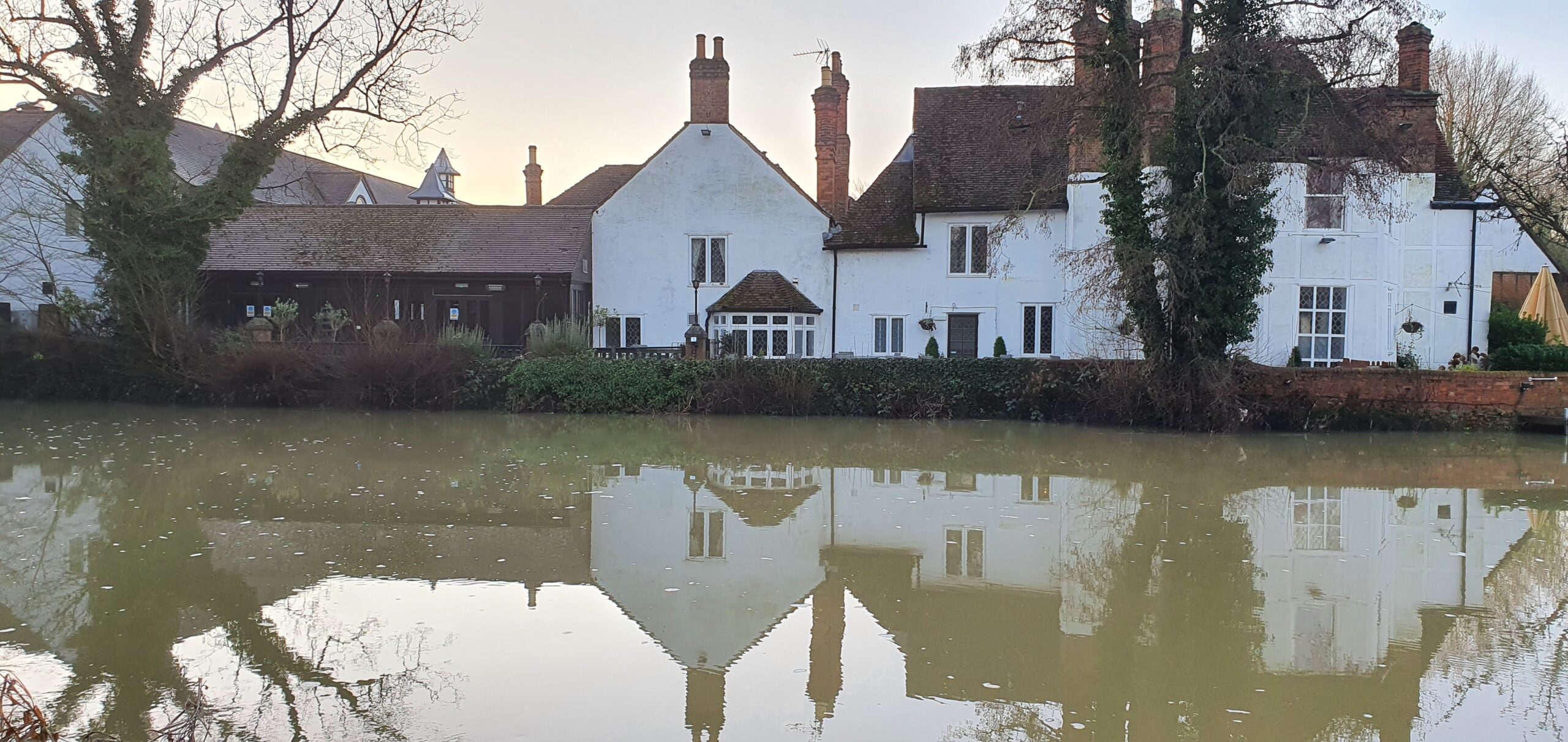 Flooding causes rat problems