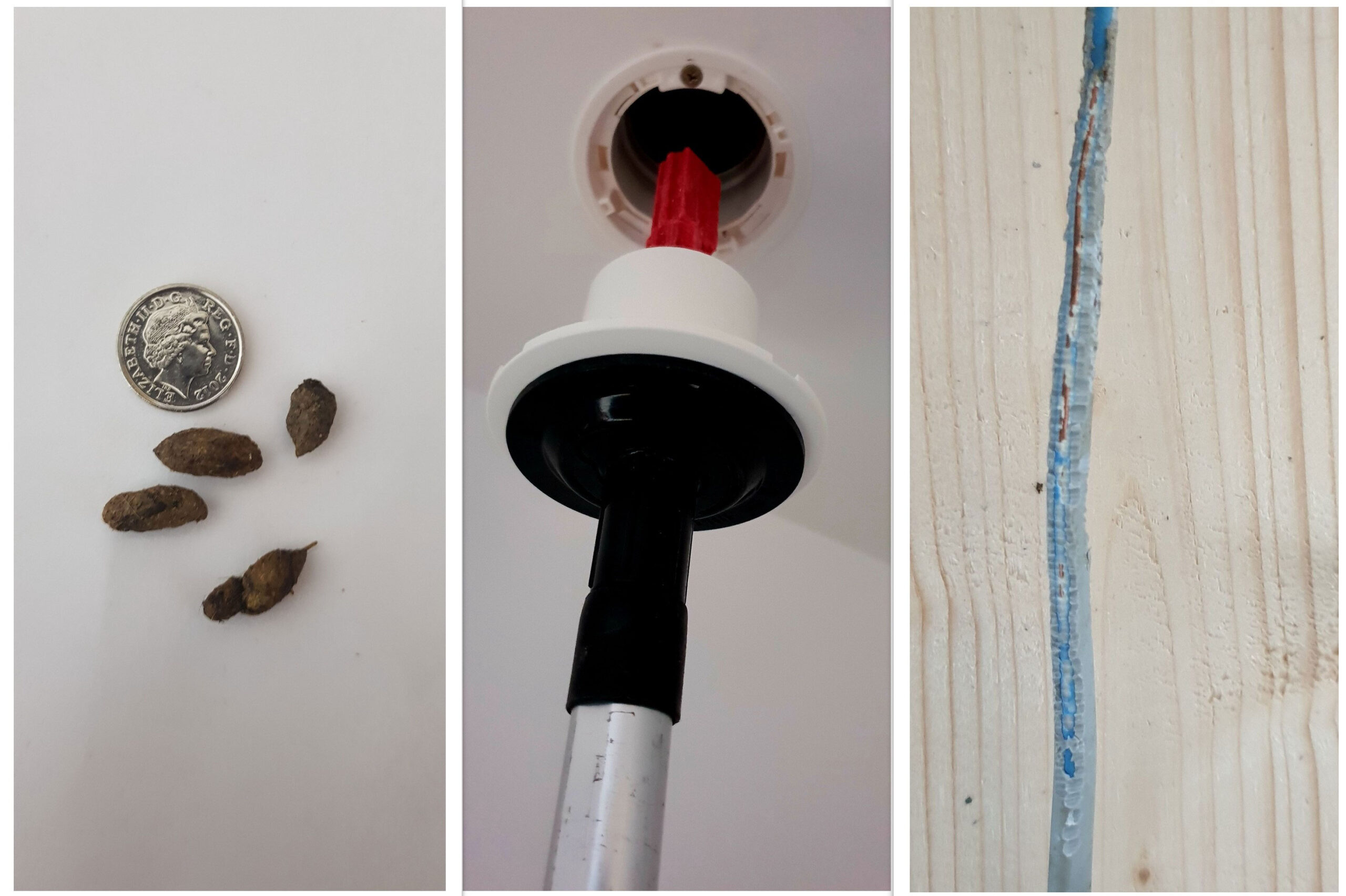 PestWatch-Nov PestWatch-Nov