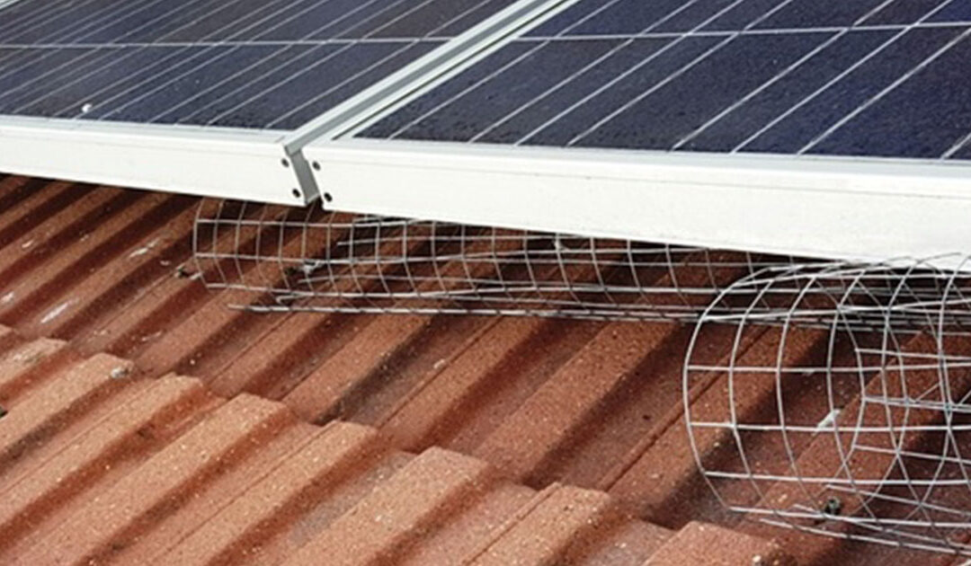 Pigeon Proofing for Solar Panels