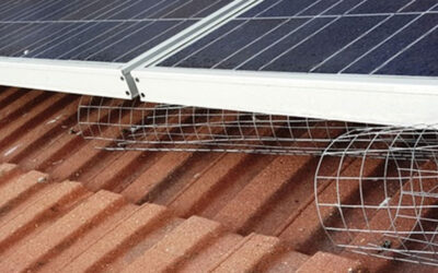 Pigeon Proofing for Solar Panels