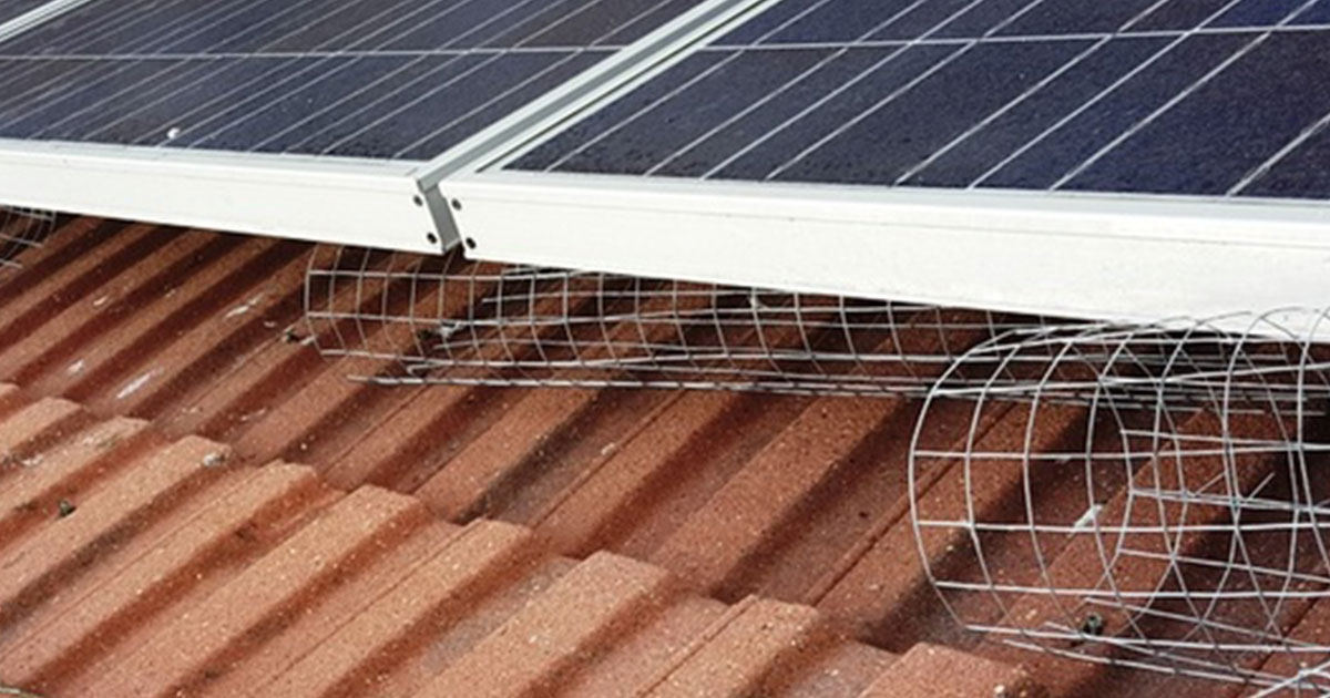 Pigeon-Proofing-for-Solar-Panels Pigeon-Proofing-for-Solar-Panels
