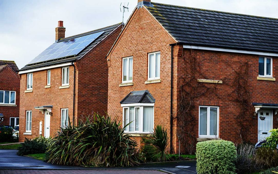 Solar Panel Pigeon Protection – Why Does it Cost so Much?