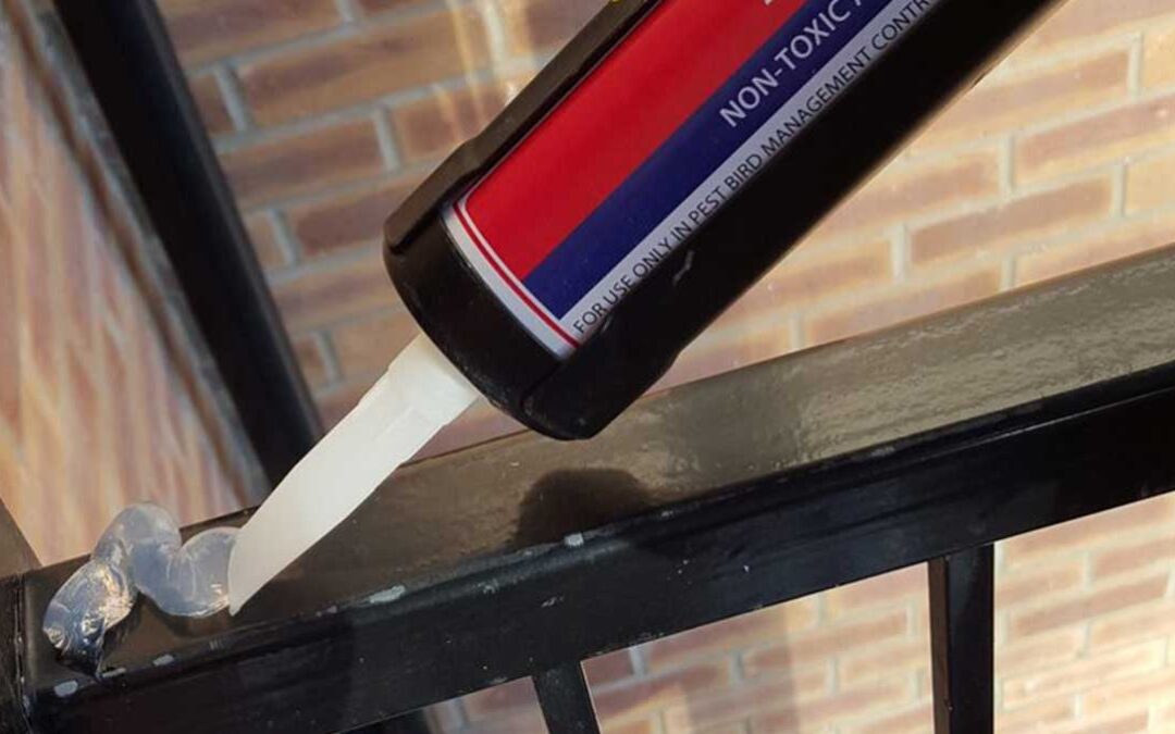 When it’s too hot to handle for pigeons