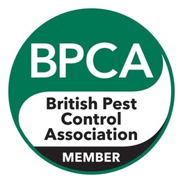 bpca-logo bpca-logo
