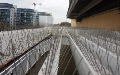 London pigeons get the ‘spike’ treatment