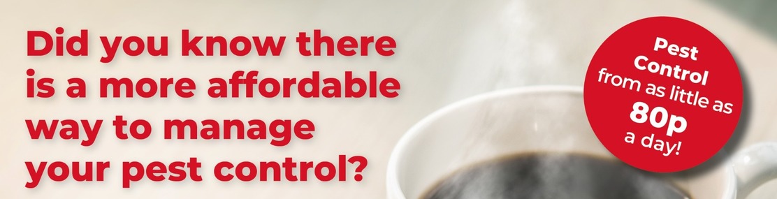 pay-pest-control pay-pest-control