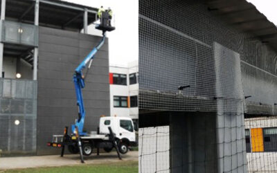 Schools Out (Permanently!) for Pigeons